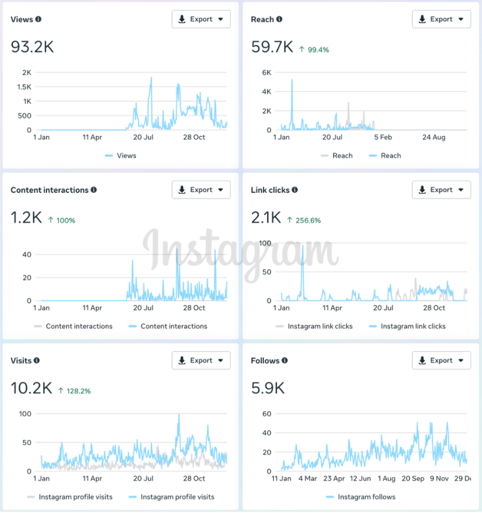 startups Instagram 2025 results